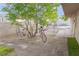 Backyard featuring pavers, grass, and shade trees, with bicycles adding a touch of personal charm at 2001 E Mcwilliams Ave, Las Vegas, NV 89101