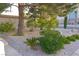 Landscaped front yard featuring mature trees, desert shrubs, and decorative rock ground cover at 2001 E Mcwilliams Ave, Las Vegas, NV 89101
