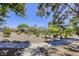 View of expansive front yard with mature trees and desert landscaping at 2349 Wooster Cir # A, Las Vegas, NV 89108
