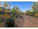 Picturesque walking trail lined with trees and foliage, creating a peaceful and scenic environment for residents at 2785 Donatello Manor Pl, Henderson, NV 89044