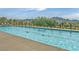 Long pool for swimming laps at 44 Alta Cascata Pl, Henderson, NV 89011