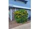 A well-maintained residence with vinyl siding, lush flowering bushes, and manicured landscaping at 5335 Rod Ct # 102, Las Vegas, NV 89122