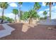 Large backyard with rock landscaping, a block wall, and mature palm trees providing plenty of shade at 6231 Curlew Dr, Las Vegas, NV 89122
