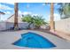 Sparkling blue splash pool in backyard features blue tile and concrete trim, all surrounded by palm trees at 6231 Curlew Dr, Las Vegas, NV 89122