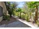 Lush backyard landscape with stone path and mature tropical plants, offering a serene retreat at 4196 Balmoral Castle Ct, Las Vegas, NV 89141