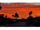 Beautiful sunrise over neighborhood street, silhouetting palm trees, rooftops, and parked cars at 1274 Doggett Ave, Las Vegas, NV 89123