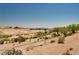 Scenic neighborhood view showcases walking trail, bridge, and desert landscaping under a bright, clear blue sky at 1902 Panther Pl, North Las Vegas, NV 89031