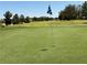 Expansive golf course view, featuring a well-maintained green with trees and a mountain backdrop at 7669 Fieldfare Dr, North Las Vegas, NV 89084