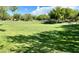 Expansive community park featuring lush green grass and mature trees for a scenic and serene recreational area at 11074 Caramel Crest Ct, Las Vegas, NV 89135