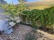 Landscaped backyard featuring a decorative fountain, rock garden, and lush green vines climbing a trellis at 1819 Beverly Way, Las Vegas, NV 89104