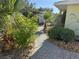Lush front yard landscaping with stone walkway leading to the house at 1819 Beverly Way, Las Vegas, NV 89104
