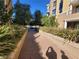 Cement walkway leading to a building with landscaping on either side at 29 Montelago Blvd # 336, Henderson, NV 89011