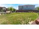 Backyard with sparse grass and landscaping along the back wall at 2935 Saltillo Ln, Las Vegas, NV 89121