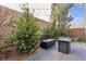 Inviting backyard retreat with patio seating, a glass fire table, stylish pavers, and lush landscaping at 3132 Cartanda Ave, Henderson, NV 89044