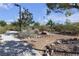 Scenic walking path with lush greenery and stone accents for a peaceful outdoor experience at 3132 Cartanda Ave, Henderson, NV 89044