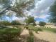 Neighborhood green space with mature trees, desert landscaping, blue skies and scattered clouds at 9329 Iceland Spar Ct, Las Vegas, NV 89148