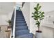 Carpeted staircase with modern railing, leading to the upper level with a fiddle leaf fig at 10554 Lilac Tree Ave, Las Vegas, NV 89135