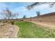 Backyard with landscaping at 1150 Red Margin Ct # 101, Las Vegas, NV 89183