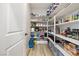 Walk-in pantry with shelving provides ample storage space for food and household items at 171 Palm Fox Ct, Henderson, NV 89011