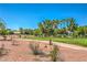 A lush greenbelt with mature trees and desert landscaping at 2086 Troon Dr, Henderson, NV 89074