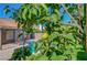 A glimpse of the sparkling backyard pool framed by lush greenery at 2711 Briarcliff Ave, Henderson, NV 89074