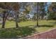 Sprawling green backyard with mature trees, providing a tranquil and private outdoor space at 3040 Hidden Treasure Dr, Las Vegas, NV 89134