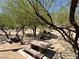 Picturesque picnic area with stone tables nestled among mature trees, offering a serene spot for outdoor gatherings at 8682 Gateway Glen Dr, Las Vegas, NV 89178