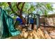 Backyard featuring a tree and workout equipment at 201 Cervantes St, Las Vegas, NV 89101