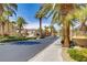 Neighborhood street lined with mature palm trees, manicured landscaping, and sidewalks at 236 Dog Leg Dr, Las Vegas, NV 89148