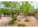 Large backyard area with desert landscaping and mature trees, offers a serene and private outdoor space at 2413 Mourning Warbler Ave, North Las Vegas, NV 89084