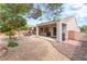 Expansive backyard featuring a covered patio, desert landscaping, and mature trees for added privacy at 2413 Mourning Warbler Ave, North Las Vegas, NV 89084