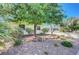 This home features rock landscaping and a mature tree that provides shade for the front yard at 4445 Peterson Dr, Las Vegas, NV 89103