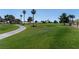 Expansive golf course with lush green fairways, palm trees, and manicured landscaping at 4904 Wiltondale Way, Las Vegas, NV 89130