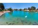 Scenic pond with lush landscaping, fountain, swans and other wildlife, creating a tranquil and picturesque view at 4904 Wiltondale Way, Las Vegas, NV 89130