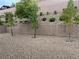 Gravel backyard featuring a block wall and landscaped hillside providing privacy at 7265 Southern Magnolia St, Las Vegas, NV 89149