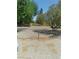 View of gravel backyard with chain link fence, and various trees adding privacy at 1611 Red Rock Dr, Pahrump, NV 89048