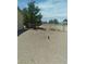 Backyard featuring gravel cover and partial chain link fence, showcasing the lot's size at 1611 Red Rock Dr, Pahrump, NV 89048