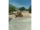 Large backyard featuring mature trees, drought tolerant landscaping, and a perimeter fence at 1611 Red Rock Dr, Pahrump, NV 89048