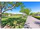 Lush green community space featuring mature trees, well-maintained lawns, and walking trails at 2037 Brush Stroke St, Henderson, NV 89044
