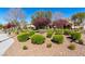 Manicured front yard with shrubbery and landscaped detail in a vibrant residential neighborhood at 2037 Brush Stroke St, Henderson, NV 89044