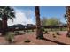 Palm trees and landscaping in common area at 3995 Visby, Las Vegas, NV 89119