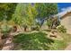 Landscaped backyard featuring well-maintained lawn, mature palms, plants, and a serene water fountain at 467 Beardsley Cir, Henderson, NV 89052