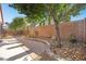 This well maintained backyard features a brick-lined walkway and mature trees at 5745 Sagamore Canyon St, North Las Vegas, NV 89081