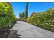 Long driveway lined with lush landscaping and mature trees leading to the home at 9270 Valerie Elaine St, Las Vegas, NV 89139