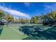 Community tennis courts, fully fenced and lit, surrounded by mature trees at 9301 Queen Charlotte Dr, Las Vegas, NV 89145