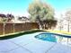 Gorgeous pool with nearby mature trees and vibrant greenery at 10908 Royal Highlands St, Las Vegas, NV 89141