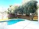 Inviting backyard pool area enhanced by mature trees and landscaping at 10908 Royal Highlands St, Las Vegas, NV 89141