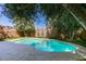 Sparkling backyard pool surrounded by lush greenery and mature trees at 10908 Royal Highlands St, Las Vegas, NV 89141