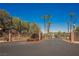 Gated community entrance with lush landscaping and mature palm trees at 209 Camino Vista St, Henderson, NV 89012