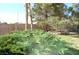 Mature landscaping and a sturdy fence enclose this home's private, verdant backyard at 30 Diamond Bar Rd, Pahrump, NV 89048